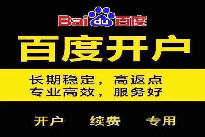 短视频信息流营销实战：小红书的成长之路